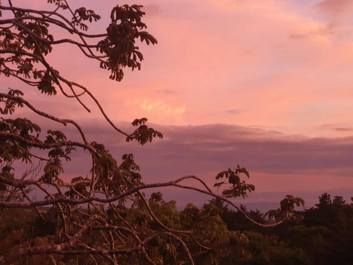 Apartamento Artesana Monteverde Exteriér fotografie