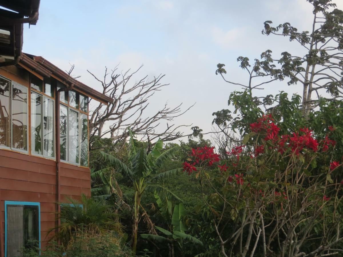Apartamento Artesana Monteverde Exteriér fotografie